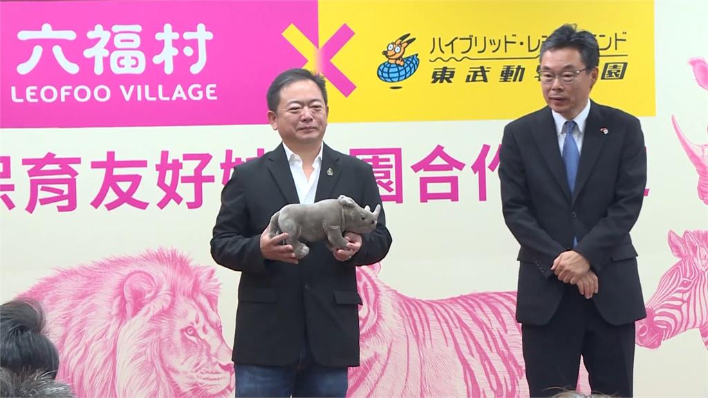 白犀牛艾瑪聯姻三週年　六福村與東武動物公園締結姊妹園