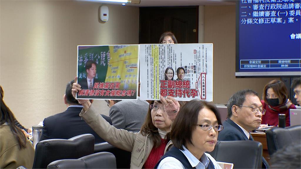 快新聞/林淑芬痛批「陳九條」!民進黨團力拼人工生殖法與代孕脫鉤 陳昭姿舉牌抗議