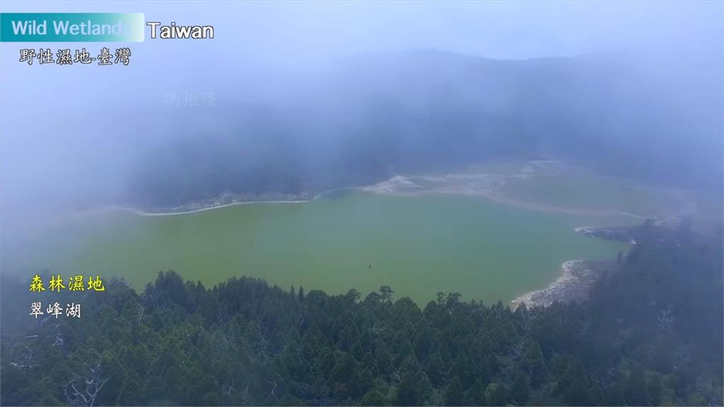 國家級濕地、瀕危動植物真實呈現　國際導演馮振隆拍出「台灣濕地之美」　