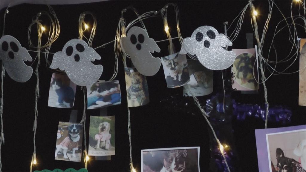 打破傳統! 玻利維亞「諸聖節」備供品 傳達對「過世毛小孩」思念