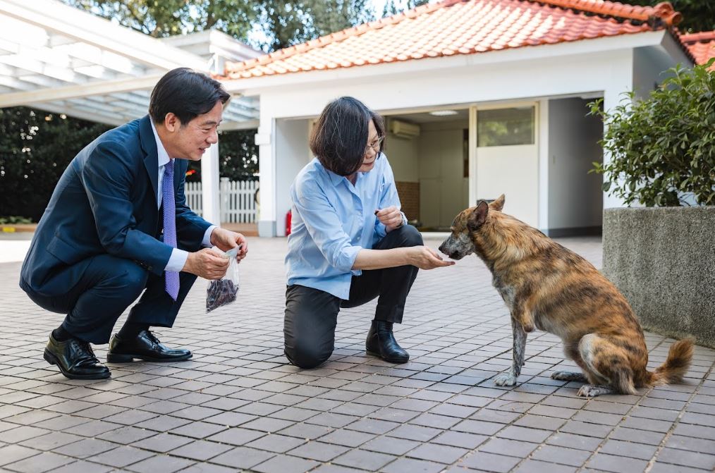 快新聞／蔡賴會有彩蛋！親探總統愛犬「斑斑」　小英嗨喊：笑起來很好看