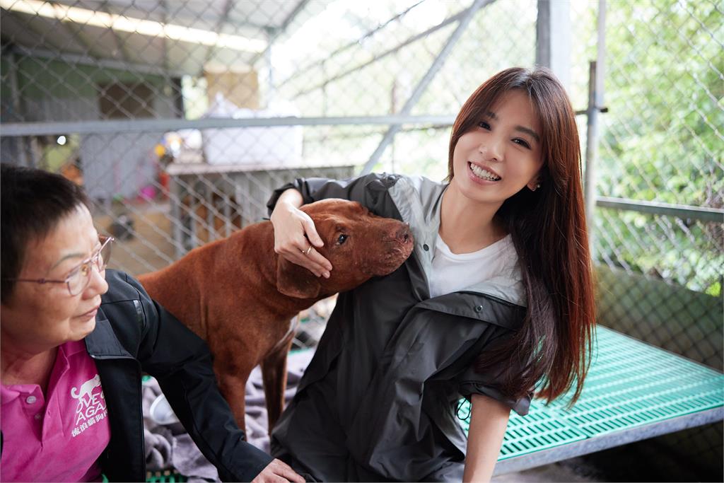 Hebe田馥甄響應流浪動物之家救助計畫 呼籲大家:出錢出力認養