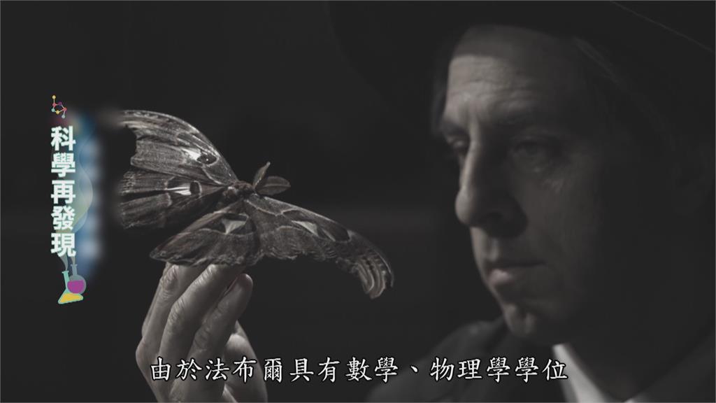 昆蟲界的荷馬史詩！　法布爾「昆蟲記」奠定自然科學史地位