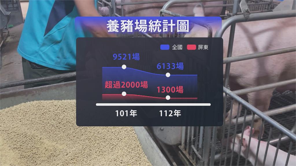 豬肉拍賣價漲到100元天價！　豬農喊冤飼料也漲價