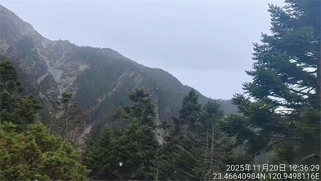玉山突降初雪！　雪花飄半小時　氣象署：中高層水氣+溫度夠低