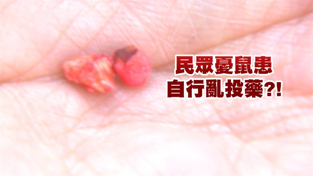 隱形殺手! 愛犬散步「誤食滅鼠藥」 飼主急尋獸醫催吐