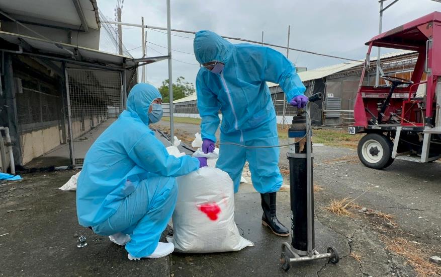 快新聞/確診H5N1禽流感病毒 彰化縣府撲殺1478隻種鵝