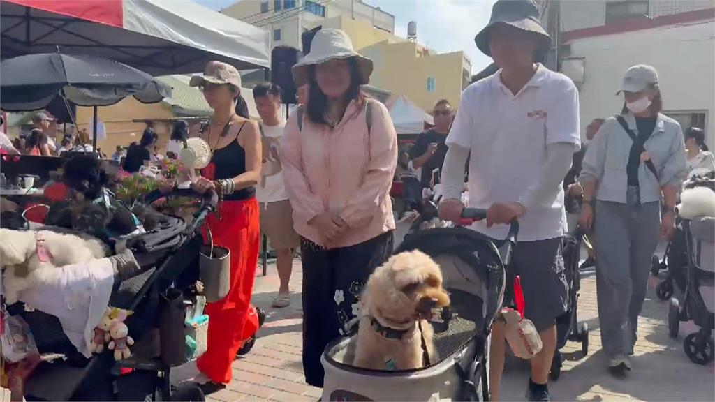 毛孩總動員！北港義民廟"義犬將軍"遶境　率領百隻寵物上街祈福.募款
