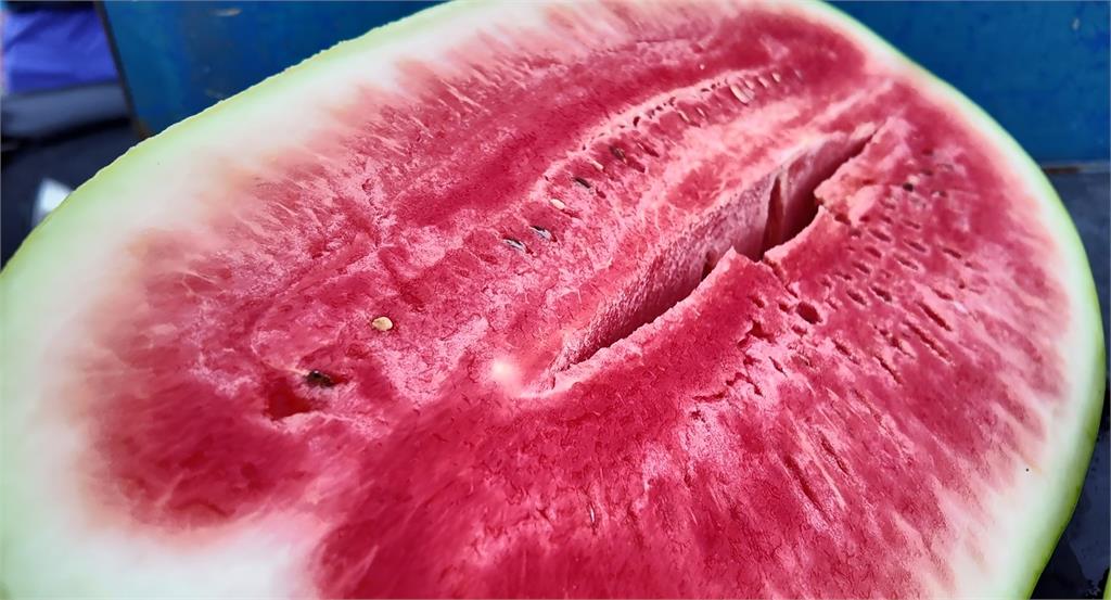花蓮西瓜「這原因」產量較去年少1成 價格略增2成