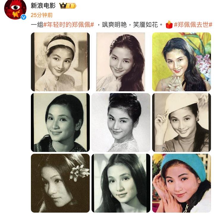快新聞/曾為香港邵氏當紅武打女星! 鄭佩佩離世享壽78歲「年輕絕美照」曝光