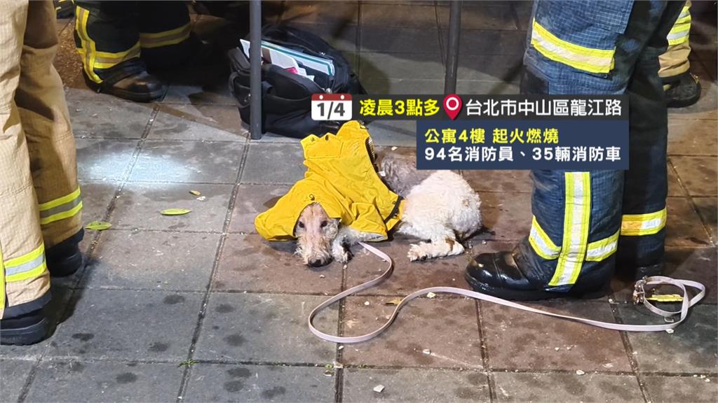 半夜驚悚大火! 北市公寓4樓起火1人1 狗一度受困