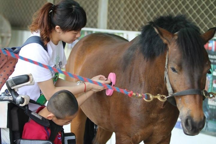 快新聞年菜／罕見疾病新希望！動物治癒人類　「馬術治療」功效多