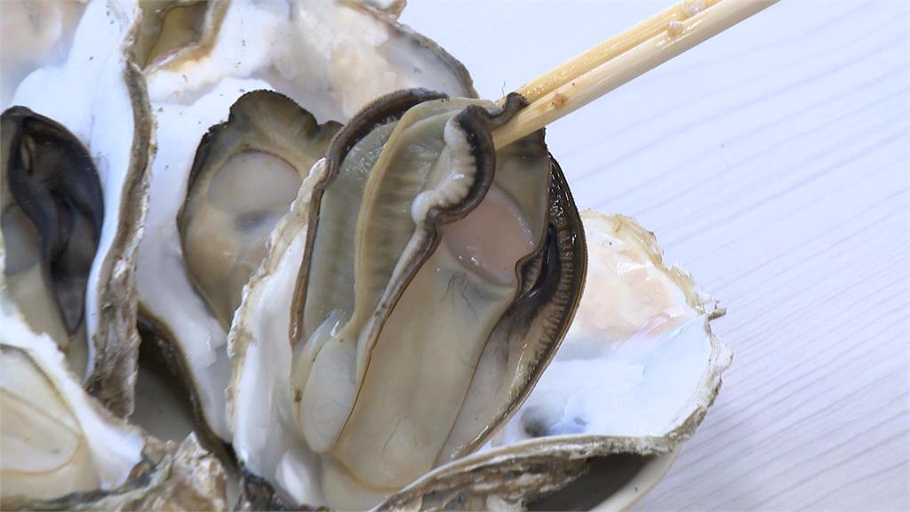 海中牛奶！東石布袋鮮蚵美味　秘密武器曝光