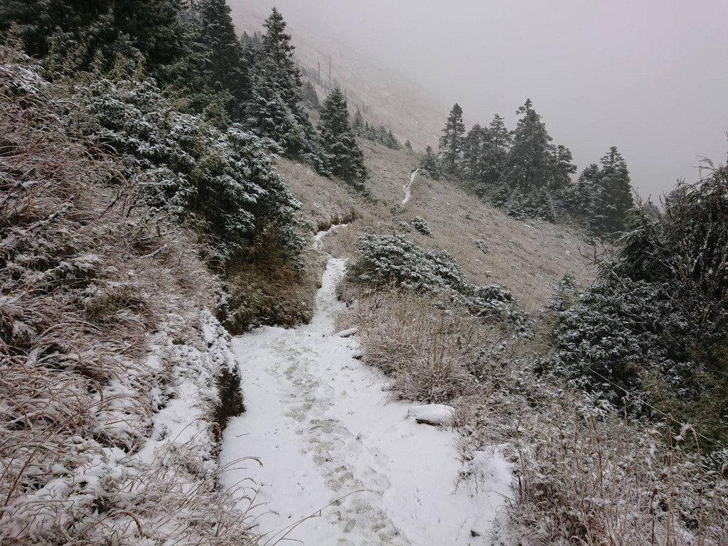 雪霸369山莊凌晨飄雪　山友喜迎北國風情