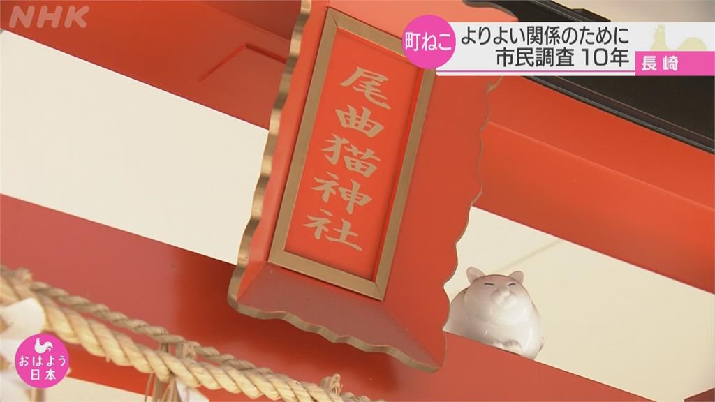 九州「貓咪城市」長崎 　熱心人士組野貓調查隊