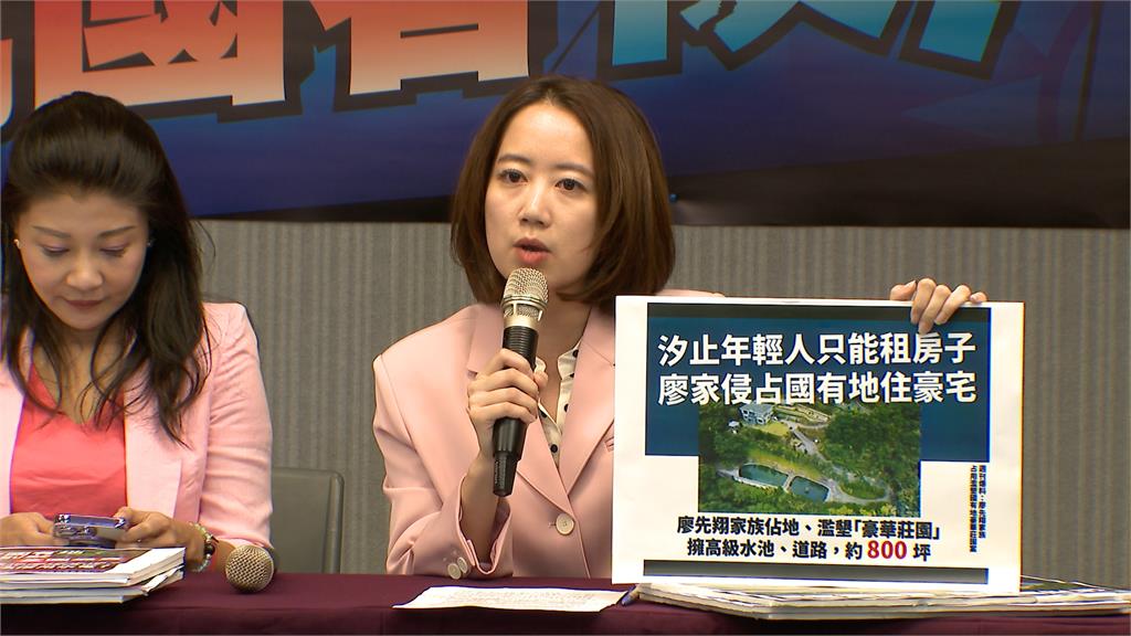 廖家豪華莊園大違建存在12年 民進黨批新北市府包庇