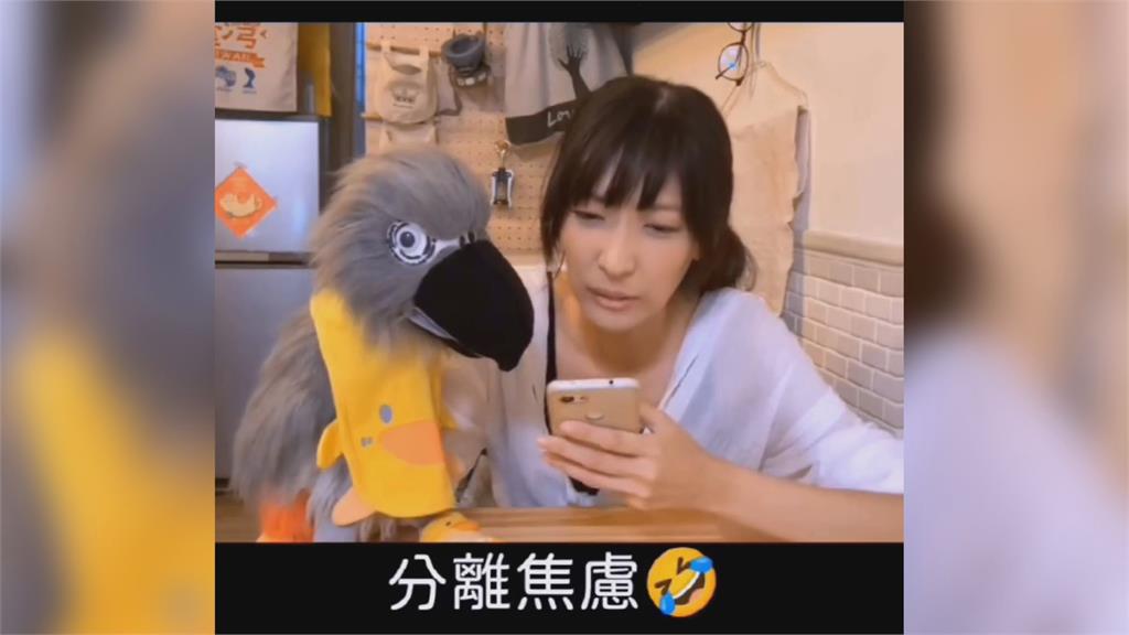 一人分飾兩角接詐騙電話!腹語師「假扮鸚鵡」整詐團 他遭揭穿氣炸:裝孝欸