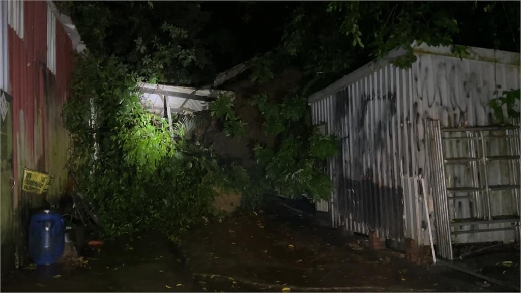 北市南港土石坍方!百年大樹滑落 違章住戶遭波及嚇壞:不敢住了