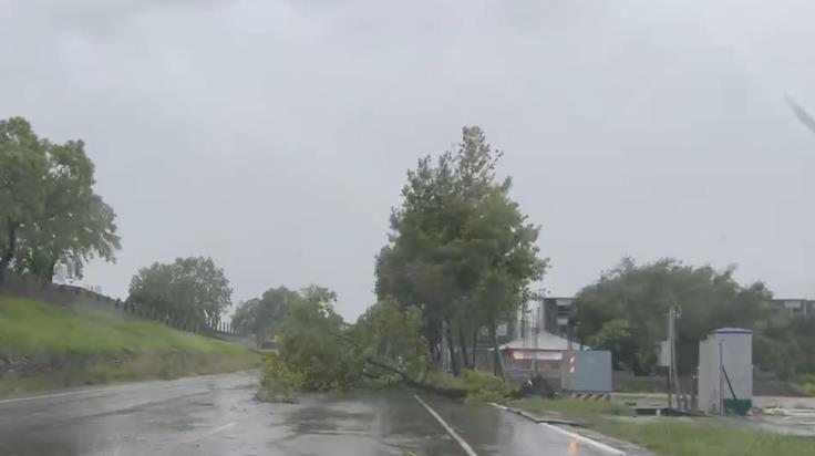 快新聞/魚都被沖上路面!宜蘭室內淹水1.5米高 家具墊高也沒用