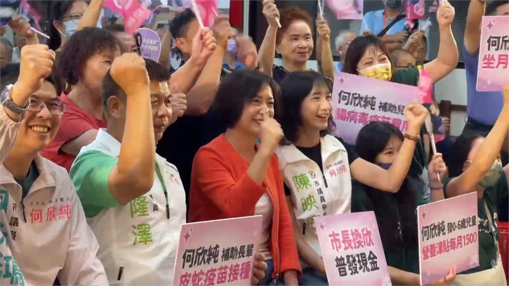盧秀燕出席民眾黨慶喊「倒賴」　綠營砲轟只顧政治算計