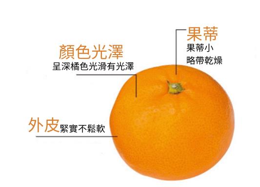 橘子怎麼挑選才好吃?日官方揭滿足「3關鍵」就會香甜又多汁