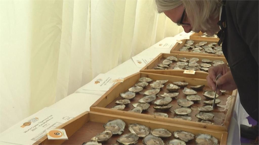 世界剖蚵殼大賽愛爾蘭登場 拉脫維亞廚師抱回冠軍