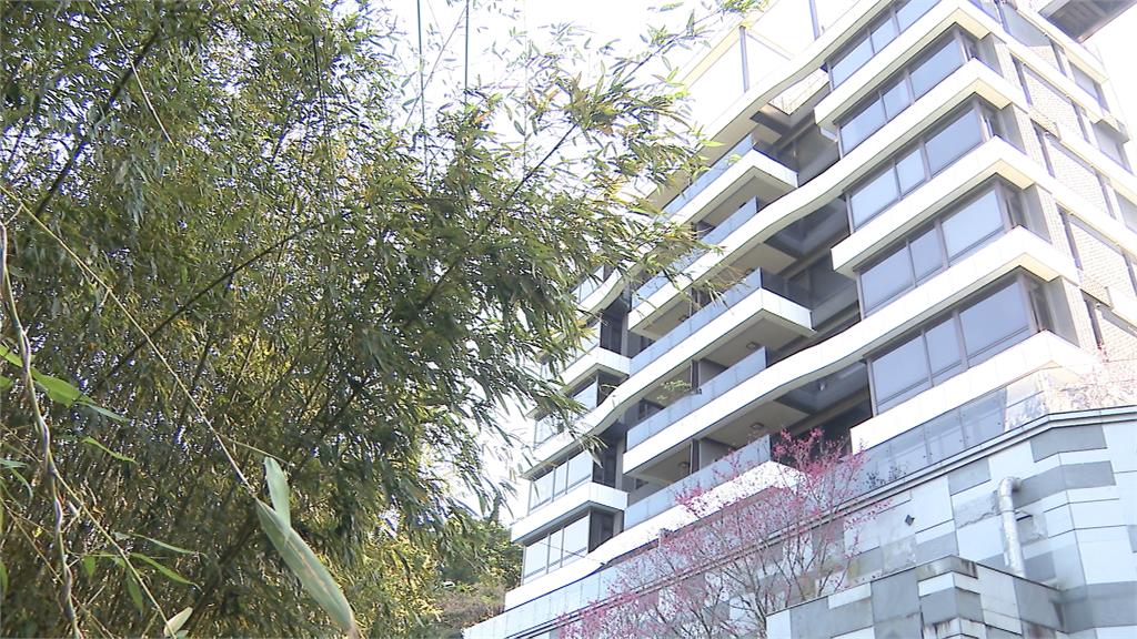 高金素梅涉「反滲透法」遭調查　疑選舉經費中有中國資金