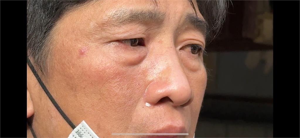 淡水狗明星「流氓」因展演遭沒入 原飼主喊冤盼撤銷處分