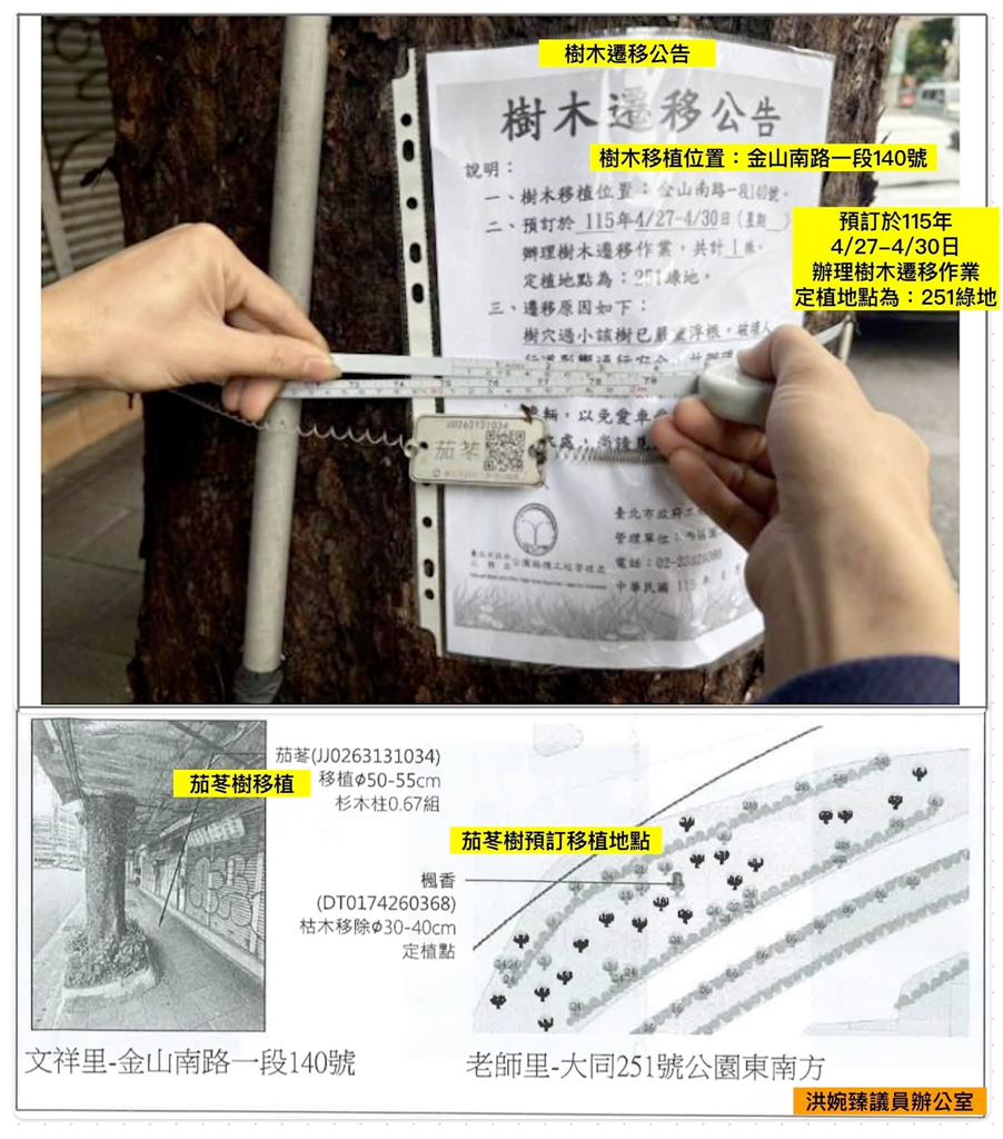 快新聞／說好的移植？東門市場茄苳樹突遭分屍「流血照」瘋傳　議員痛批北市府管理鬆散