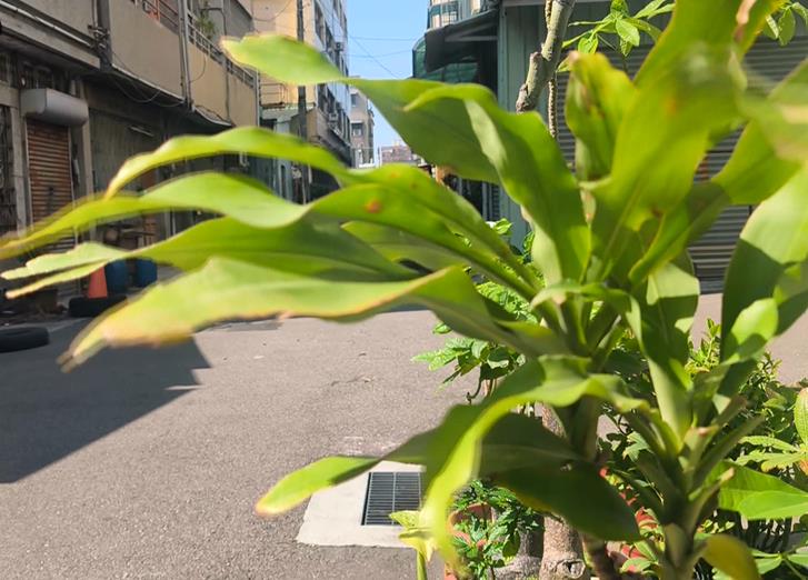 台中婦浴室跌破頭慘死 「脖驚見詭異勒痕」警揭真相