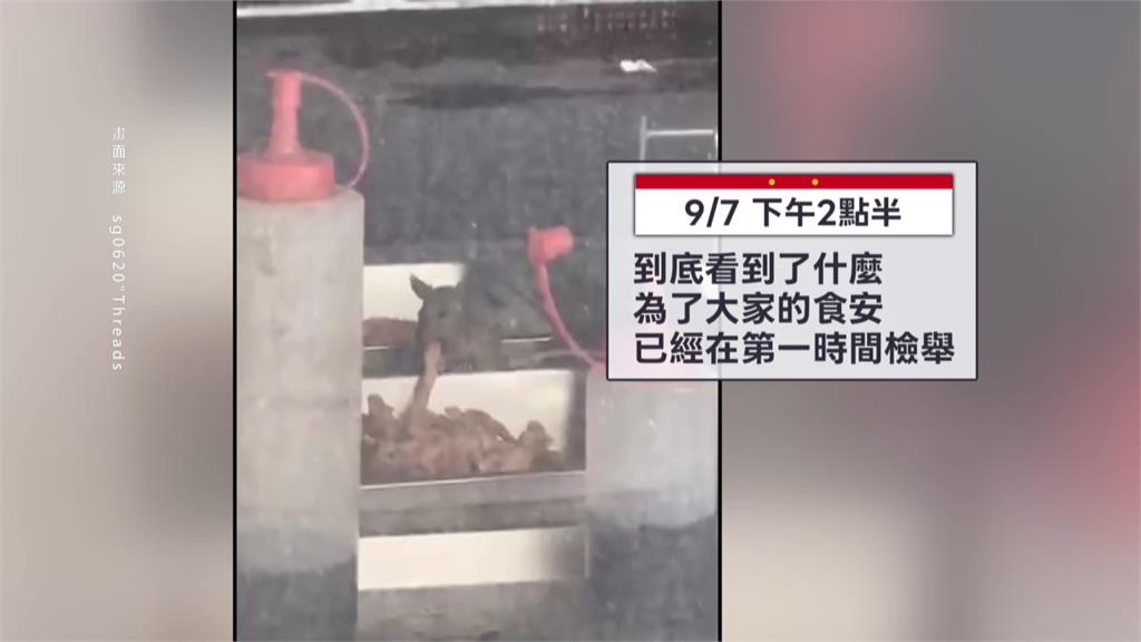驚! 北市自助餐驚見肥滋滋米奇 跳上剩菜爽吃大餐 還跟路人對看