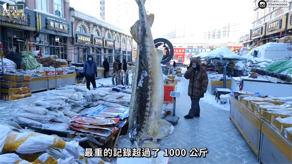 你一定沒看過！他直闖中國最古老魚市見「站著賣的魚」　驚呼：難以想像