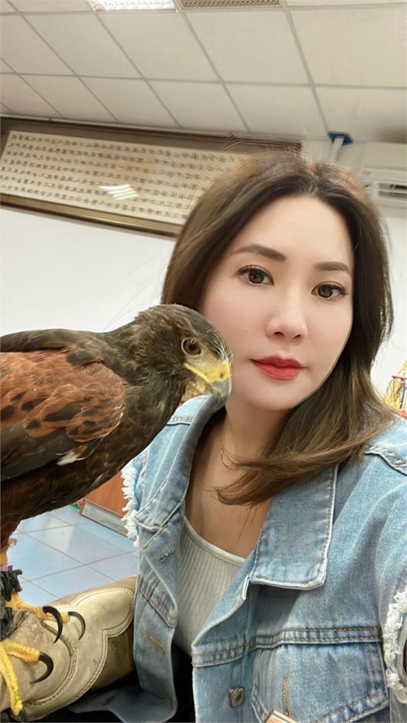 猛禽巡迴進校園 新北三重國小2百名學生樂歪