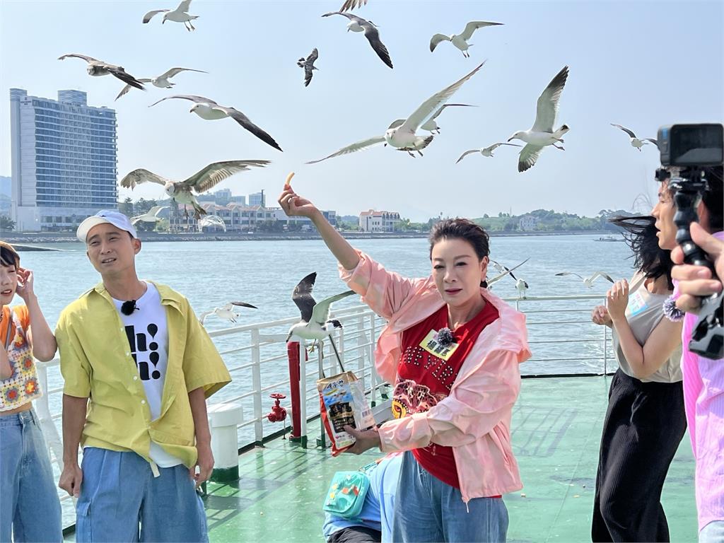 韓國海鷗近距離圍繞飛行阿翔問這麼大的鳥會害怕嗎？楊繡惠「越大越喜歡」