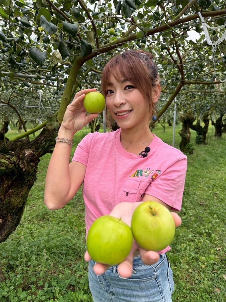 《Go Go Taiwan》邀日本好友共享「甜蜜生活」!段慧琳老公不吃醋