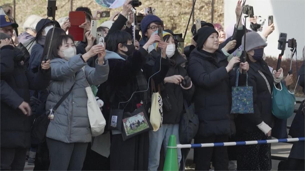 日本首度「貓熊歸零」 曉曉、蕾蕾啟程返中國粉絲落淚