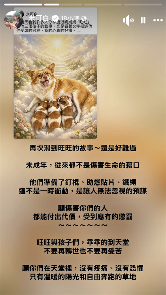 中國虐狗事件「竟無法可罰」引公憤！米可白二度聲援：未成年不是藉口