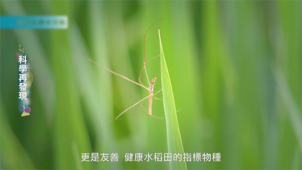 友善耕作豐富生態系 朝「永續共生之道」邁進