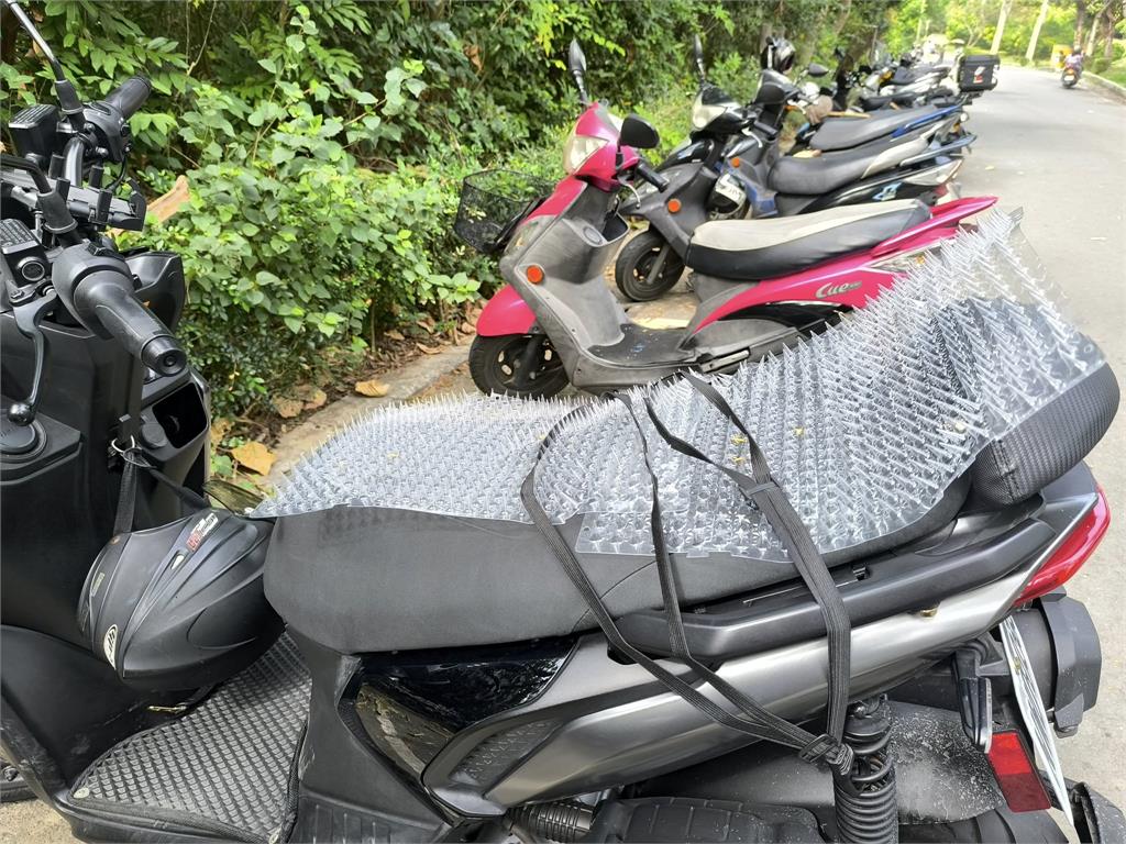 高雄、嘉義獼猴氾濫惹民怨 中常委陳情獲總統指示