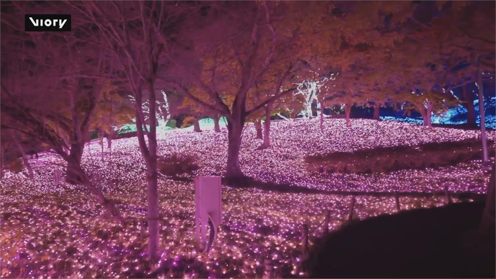 日本相模湖燈光秀揭幕！　600萬顆燈泡打造夢幻美景