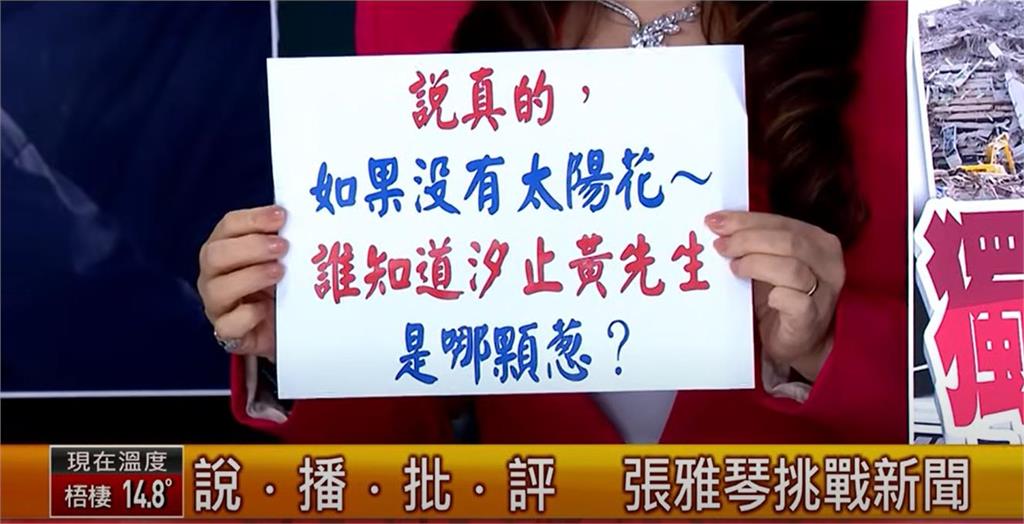 黃國昌嗆「綠營側翼」籲道歉!張雅琴批「荒唐1事」氣瘋:誰知你是哪顆蔥?