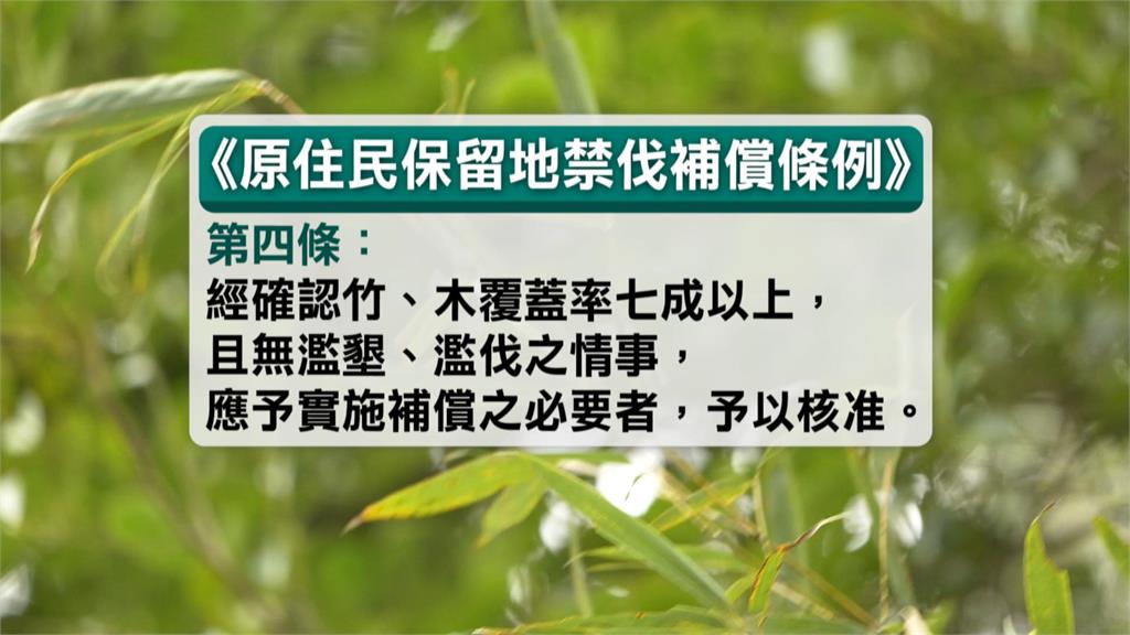 異言堂/國產竹材年產量腰斬 異言堂溯源追查原因