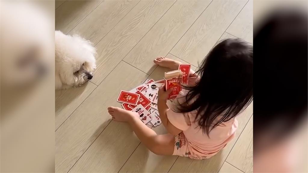 媽教2歲萌妹玩撲克 「叫她轉牌她轉身」網笑:天生的幽默