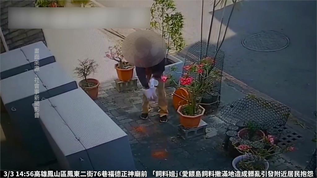 不要再餵了!社區貼公告揪「飼料姐」 亂撒白米.飼料 鳥排泄滿地