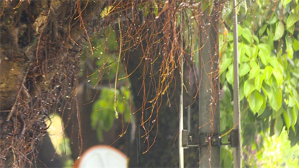 菲律賓東部熱帶擾動 中秋連假恐有颱風報到
