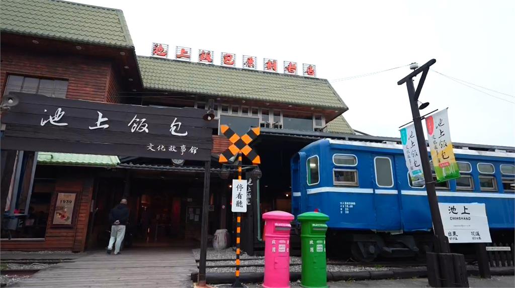 台東池上怎麼玩？　金城武樹拍美照　「葉片飯包」品嚐復古味