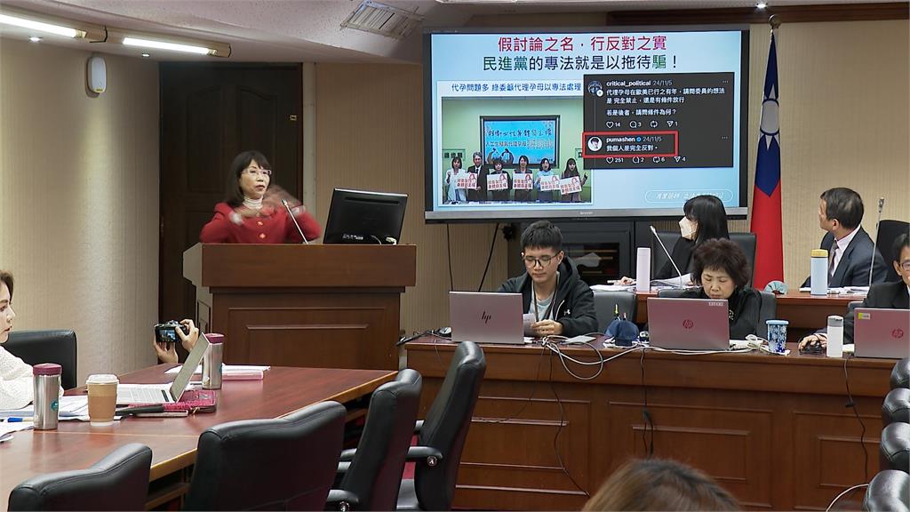 扯"聖母也是代孕母"惹怒教友 陳昭姿今道歉