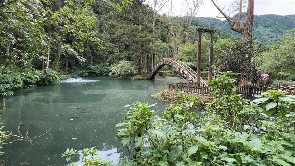 颱風來襲！溪頭遊客銳減　森林園區防颱滴水不漏