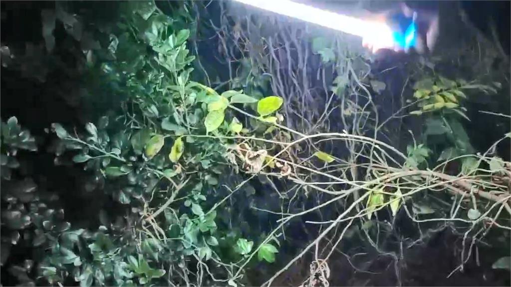 快新聞/彰化驚傳情殺案!工人求復合與前女友起衝突 同居男友上前保護慘死