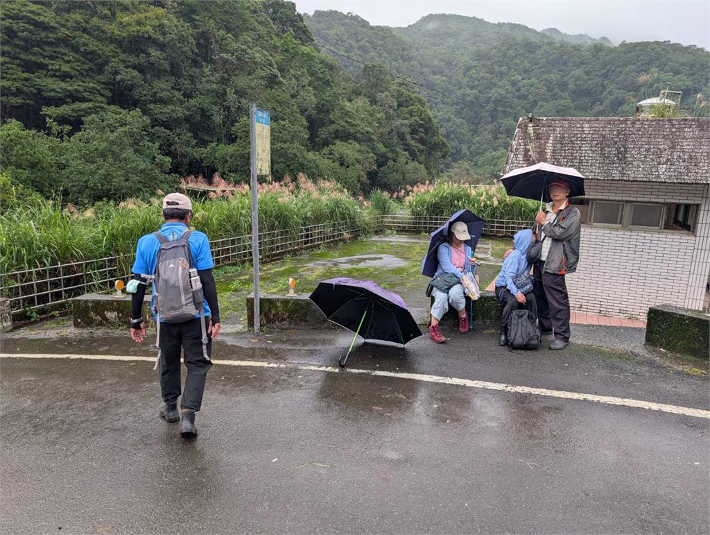 新北雙溪灣潭步道傳蜂螫人事件! 3民眾遭虎頭蜂攻擊